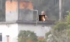 El video muestra a la pareja en plena acción mientras de fondo se escuchan las detonaciones de armas de fuego. CONTEXTO CARIBE