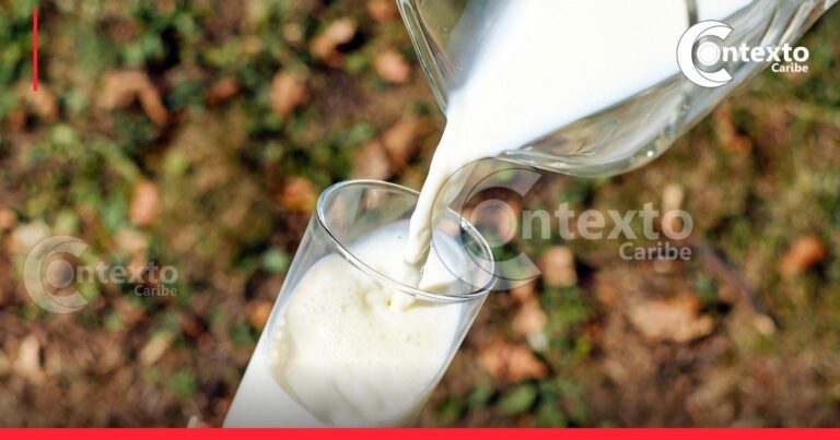 Sancionan empresas de leche en Colombia por engañar a los consumidores