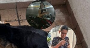 erro fue abandonado en un balcón y murió por inanición en Bucaramanga: buscan a los dueños. contexto caribe