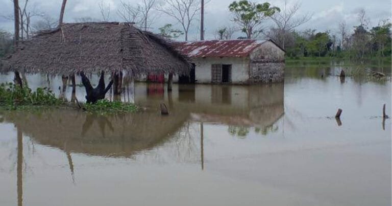 Más de mil familias se encuentran damnificadas en la subregón de La Mojana y parte del San Jorge en el sur de Sucre, ante el desbordamiento del río Cauca, una vez más por el sector de Cara de Gato.
