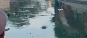 Hallan cadáver de un hombre en el Caño de la Auyama, en Barranquilla