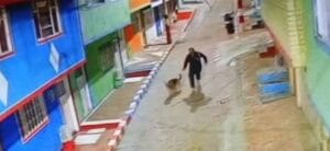 Anciano de 66 años fue enviado a la cárcel por abuso sexual de animales en Bogotá