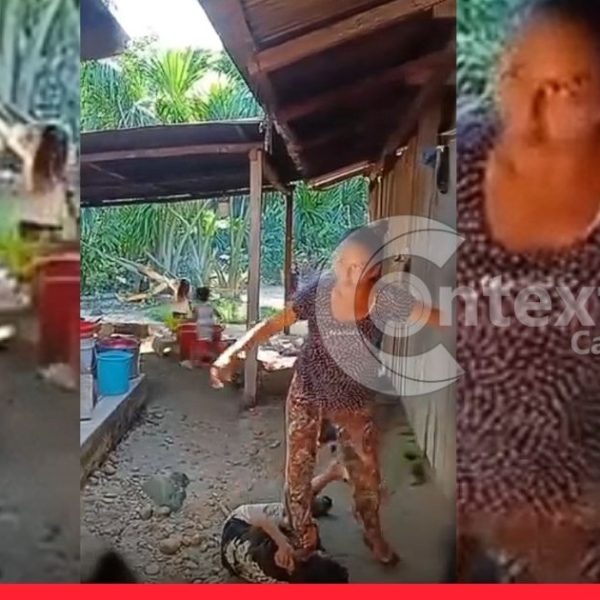 VIDEO: capturaron a la mujer que fue grabada maltratando cruelmente a un indefenso menor de edad