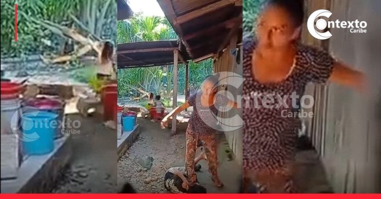 VIDEO: capturaron a la mujer que fue grabada maltratando cruelmente a un indefenso menor de edad