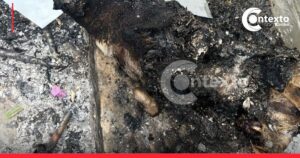 Repudiable: queman vivos a dos perros en Barranquilla, exigen justicia
