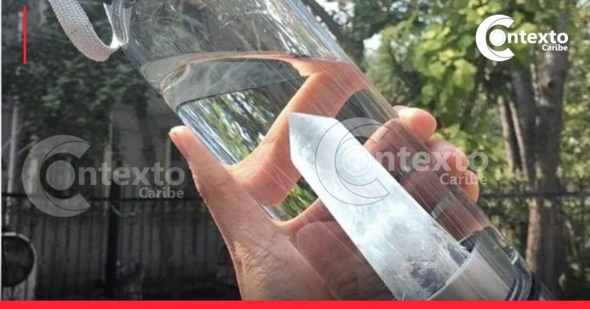 ¿Usa termo de agua a diario? Cuidado: podría tener más bacterias que un inodoro