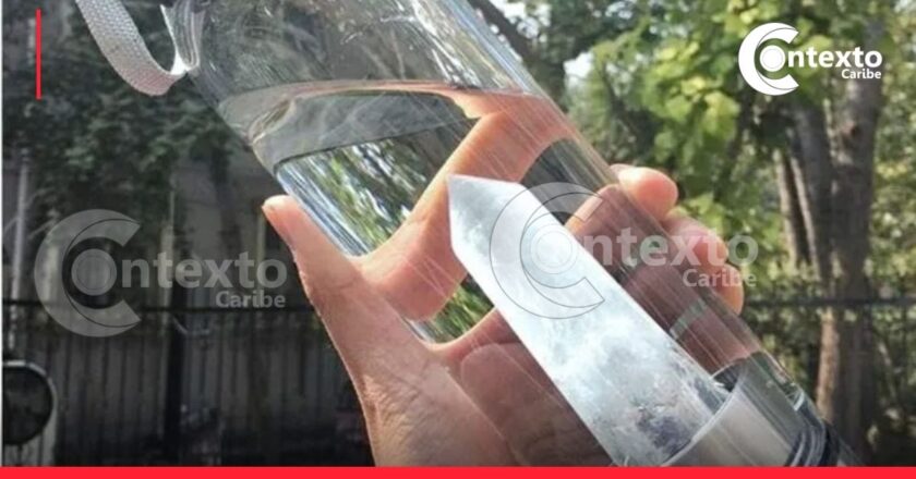 ¿Usa termo de agua a diario? Cuidado: podría tener más bacterias que un inodoro