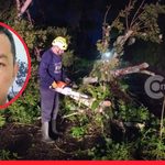 Entre lluvia y fuertes vientos, un árbol causó la muerte de un veterinario en Sucre