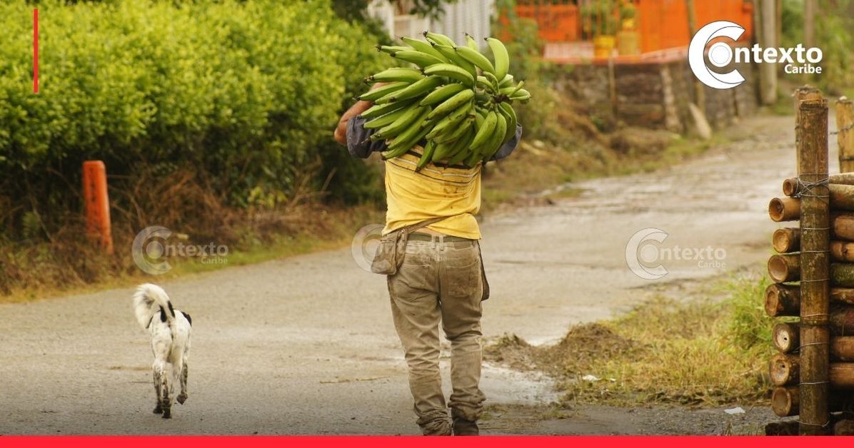 Polémica ANT piden no usar en lo posible la palabra campesinos