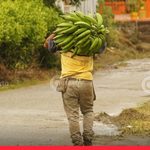 Atención: ¿ya no se puede decir “campesinos”? La directriz en la ANT que desató polémica