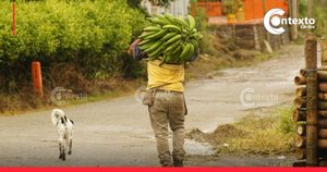 Polémica ANT piden no usar en lo posible la palabra campesinos
