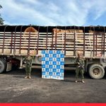 Armada recupera 346,8 metros cúbicos de madera en Bolívar, Antioquia y Cesar