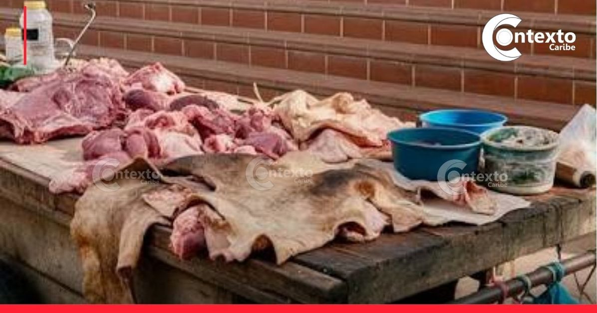 Carne de cerdo barata en Sincelejo Carne de cerdo barata en Sincelejo