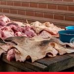 Carne de cerdo barata en Sincelejo: entre el alivio al bolsillo y las alertas por su manipulación
