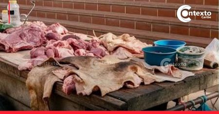 Carne de cerdo barata en Sincelejo