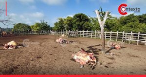 ¡Golpe al campo! Encapuchados sacrificaron cinco reses y saquearon finca ganadera en Los Palmitos
