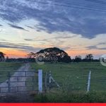 Asalto y carneo en predio del Golfo de Morrosquillo: cuando el silencio también juega en contra