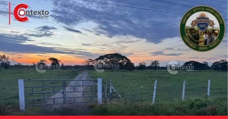 Asalto y carneo en predio del Golfo de Morrosquillo: cuando el silencio también juega en contra