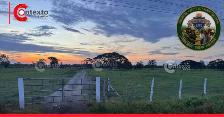 Asalto y carneo en predio del Golfo de Morrosquillo: cuando el silencio también juega en contra