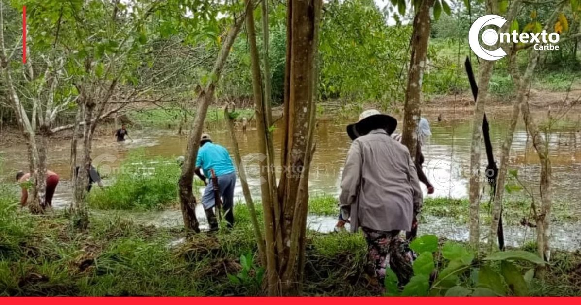 no mas campesinos en colombia