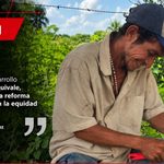 La revolución agroindustrial no puede reemplazar la reforma agraria